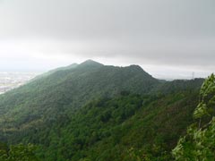 zĂR