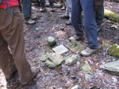 ip151-14.jpg