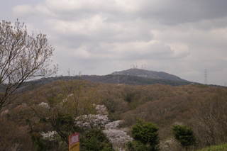 ip191-10.jpg