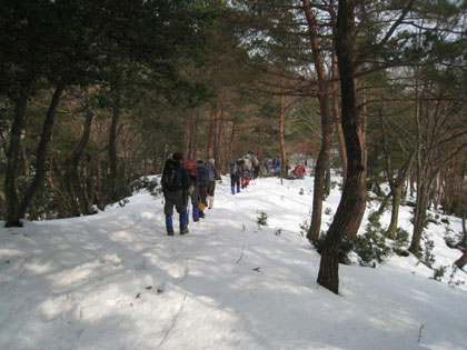 雪山の雰囲気が出てくる