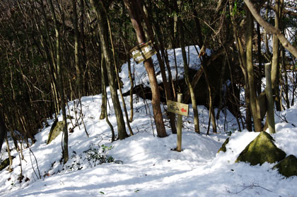 城山への縦走開始