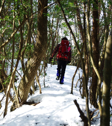 城山への縦走路を行く