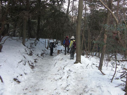 摩耶山への登り