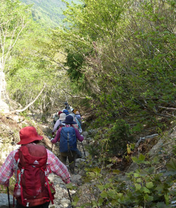 青ガレ道を下山中