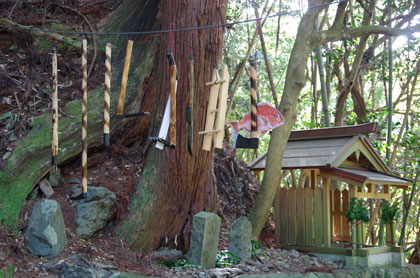 山の神にあった供え物