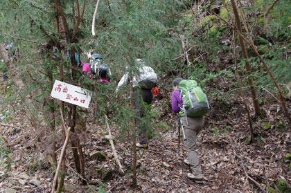 山道に入る