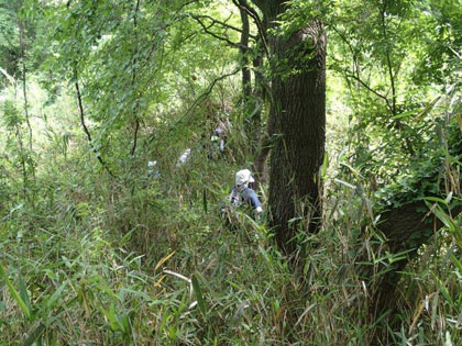 高尾山から先の踏み跡に入る