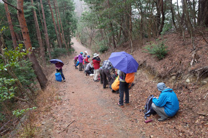 三国山への林道