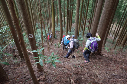 畑山からの急下降