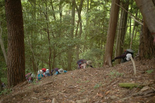 稜線直下の急登