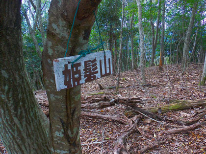 飾り気のない山頂