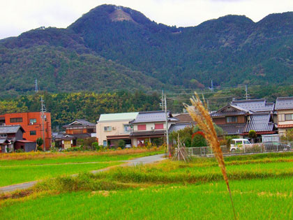 姫髪山を振り返る