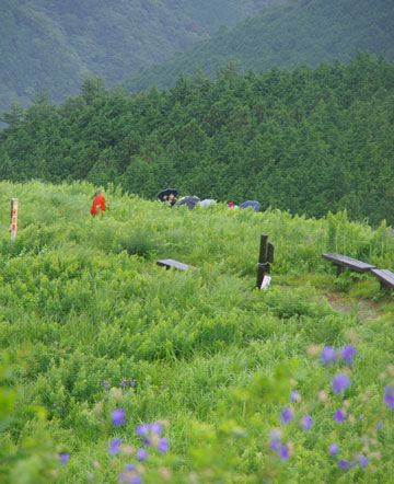 雨の中を下山します