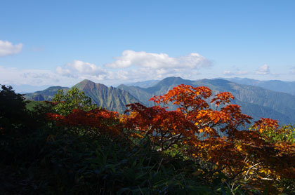 紅葉の向こうに万太郎山