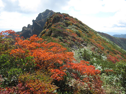 紅葉鮮やか