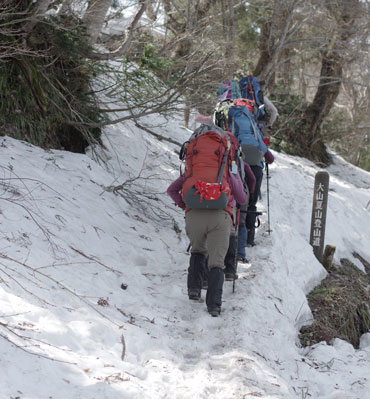 登山口を出発