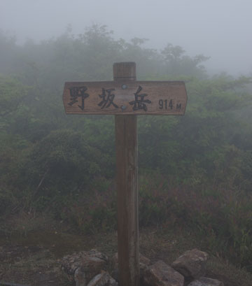 山頂です