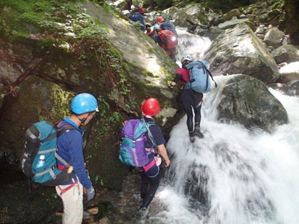 水量は豊富