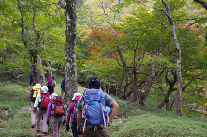 日出ヶ岳へ至る登山道