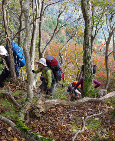 二の谷山への急登