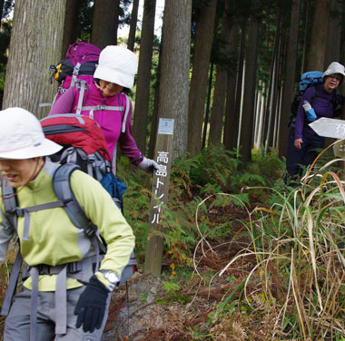 桜峠に出る