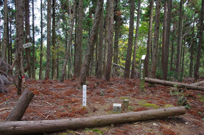 行者山の山頂