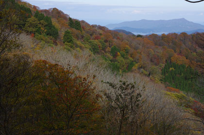 紅葉の向こうに日本海が