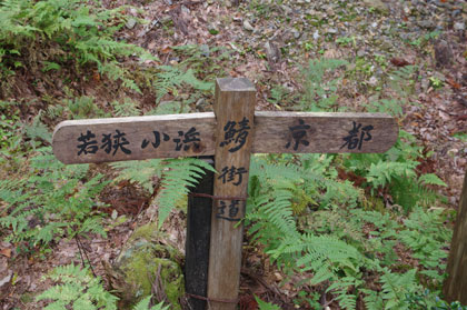 根来坂から鯖街道を下降